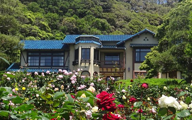 鎌倉 バラと洋館めぐり 前編 鎌倉文学館 鎌倉 神奈川県 の旅行記 ブログ By Takeおじさん フォートラベル 鎌倉 バラと洋館めぐり 前編 鎌倉文学館 鎌倉 神奈川県 の旅行記 ブログ By Takeおじさん フォートラベル