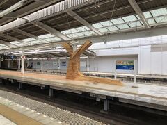 池袋から西武線急行飯能行きに乗り約45分で飯能駅到着。
池袋から始発なので、10分前くらいから並んで席を確保。
無事に飯能駅へ到着。