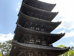 奈良1つ目の目的地は興福寺。
国宝の五重塔、貫禄があるね。


