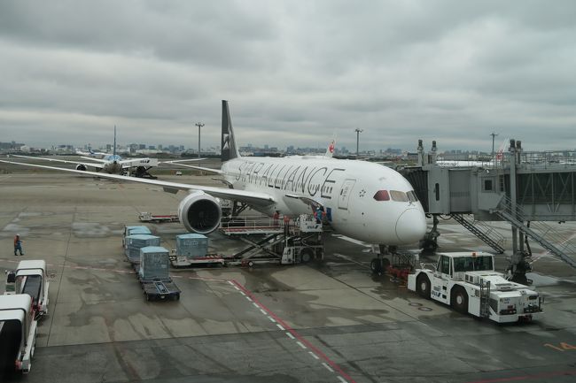 8:50香港行きです。スターアライアンスの機体でした。スターアライアンスの機体は初めて搭乗します。GW初日なので満席でした。