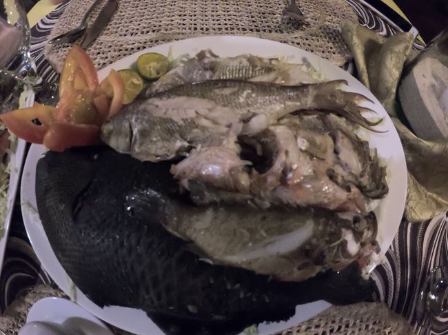 『GW10連休！ブスアンガ島でジュゴンに会う旅。(6日目)ゆったりまったりフィッシング』パラワン島(フィリピン)の旅行記・ブログ by