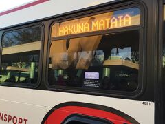 おはようございます。


今日はアニマルキングダムがアーリーインだったので行ってきました。

バスにはHAKUNA MATATAの文字が。ライオンキングだいすき～(基本的に好みが幼児)

