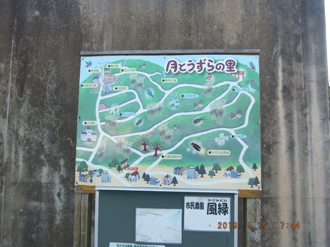 稲荷山周辺の自然紹介