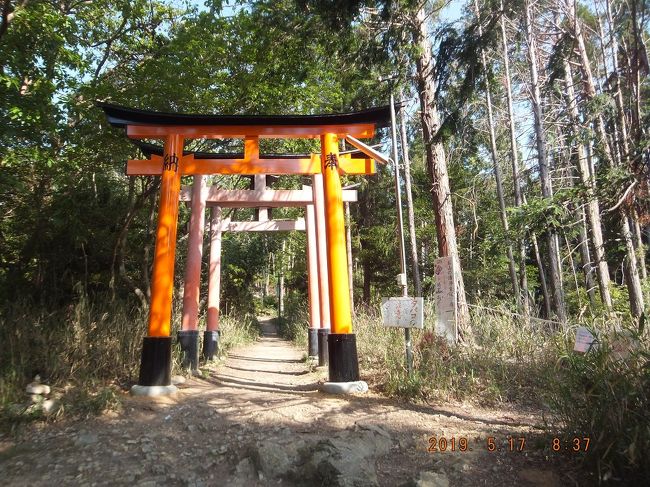 稲荷山へは側道だが一応鳥居はある。