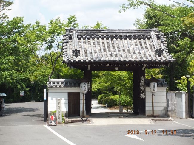 知恩寺ルートを下る