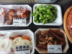 19：00　道の駅/雫石あねっこ

夕飯はスーパーで買っておいた総菜で車中飯。
例によって買いすぎ、食べ過ぎ。
でも美味しかった。