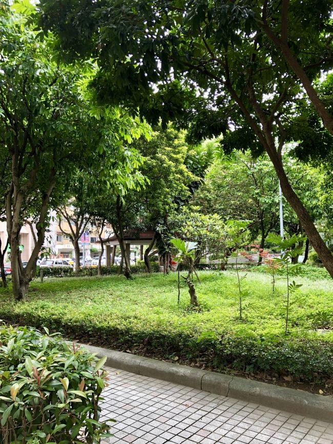 もうすぐ酷暑がやってくる台北、束の間の新緑の爽やかな季節。