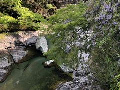 いつものようにお湯を沸かして、美しい祖谷渓の景観を眺めながら、のんびりとぶっこみ飯を頂き、やっと天気に恵まれた嬉しさに浸りました。

ゆっくり準備をしていたら、あれよあれよという間に8:00近くになってしまっていました。
