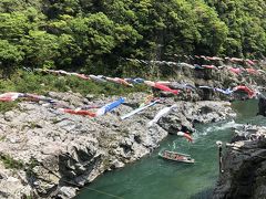 大歩危の遊覧船に乗船しようとしていたので、駐車場の空き状況を確認し、「タイミング次第です」との案内係のお言葉と、状況確認の上で、道の駅まで戻り「まんなか」まで車を移動させました。

「道の駅 大歩危」も食事が出来たりはしますが、鯉のぼりが掛けられていたり、観光遊覧船を就航している「まんなか」さんに惹かれました。
