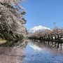 201904-05GW-02_弘前城と芦野公園の桜＋津軽半島　Sakura in Tsugaru (Aomori)