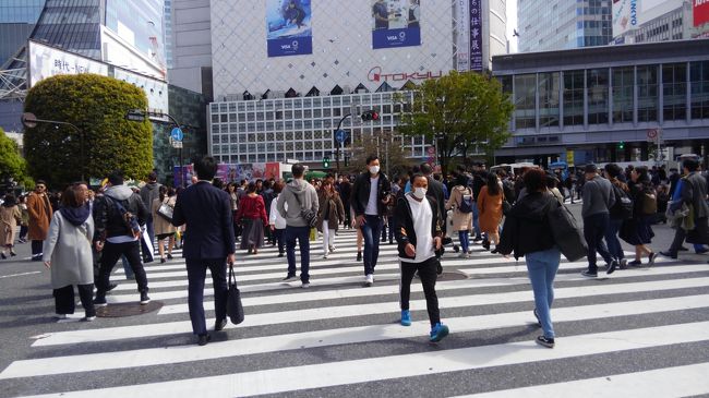 有名な渋谷のスクランブル交差点