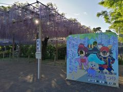 江南市の「曼陀羅寺公園」。
周辺の駐車場は有料500円。