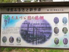 津島市の「天王川公園」。
ここも園に近い駐車場は有料700円でしたが、17時を過ぎたら無料で停められました。
ボートがある池や大型遊具がある、広い公園です。
