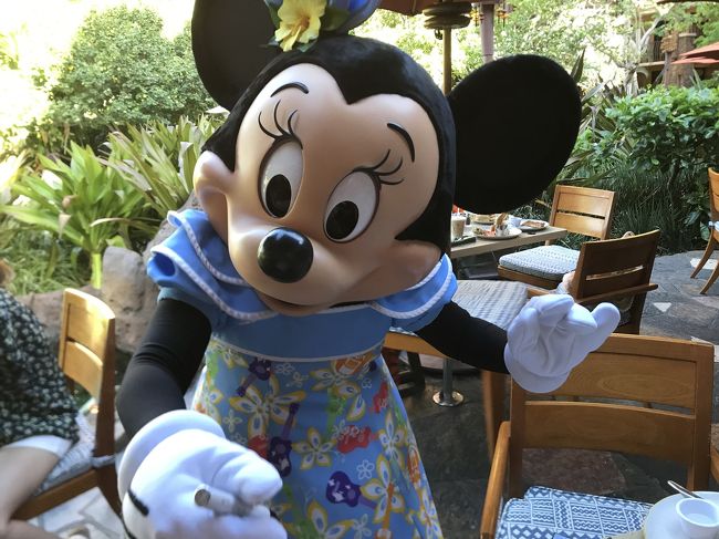 ミニーちゃんがやって来てくれました♪<br />しかし娘はギャン泣き。<br />