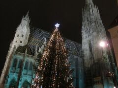 夜のシュテファン大聖堂。
クリスマスマーケットも開かれています。