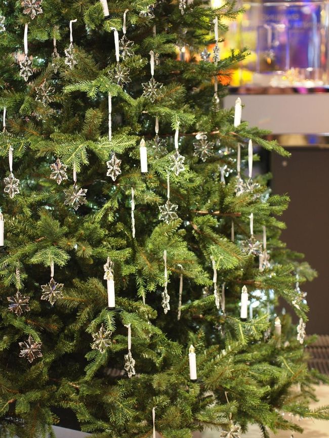 スワロフスキーのクリスマスツリー！