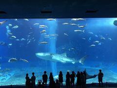 美ら海水族館