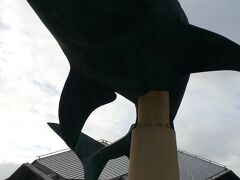 美ら海水族館。
相方は海遊館にも行ったことがないと言ってたので、古宇利島のドライブよりもコッチをチョイス。
