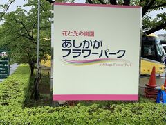 クラブツーリズムのツアーに参加 
臨時列車の指定席で出かけられるので便利でした！