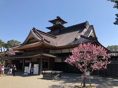 箱館奉行所は幕末の箱館開港にともない設置された江戸幕府の役所を、当時の古地図や文献資料をもとに復元した施設です。
紅梅が綺麗に咲いています。
