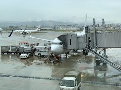 福岡空港から出発です。
こちらは、雨。

九州南部は荒天予報。
屋久島で50年に一度の大雨が降った日でした。