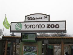 昼間はトロント動物園へ。

動物園のことは別の日記に書きます。

午前中は霧雨で視界が…