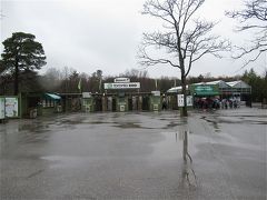 引き続き昼間はトロント動物園。

雨が…

この雨は途中で止んだので、そこまで傘を使わずに済みました。