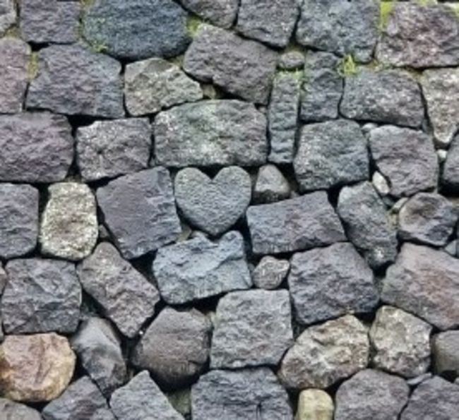 眼鏡橋近くの石垣に<br />ハートの石がありました！<br /><br />