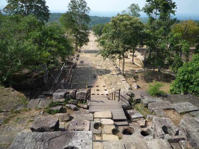 上から見た参道。