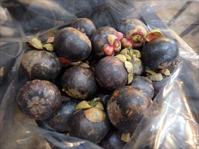 さぁ～て、どうやって持って帰ろうか。。これ (^_^;