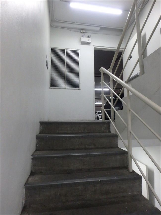 それなりの高さから見下ろさないと、きれいに見えないので、<br /><br />１階から、２キロのマンゴスチン抱えて階段上っていくと、<br /><br />そりゃまあもう、限界を超えるほどに、しんどいのです。。<br /><br />ほんとはエスプラネードの中からエスカレーターで、各階の駐車場へ出ればよかったのですが、