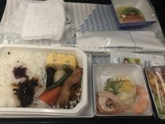 ANAの夜発便で、初のシンガポールへ出発です！到着は朝。機内食は日本食をチョイス。
到着後に備え、機内ではなるべく寝ました。(映画「クレイジーリッチアジアンズ」があったのでそれ1本だけ見て、シンガポールの桁違いのお金持ちの存在に震えました…)