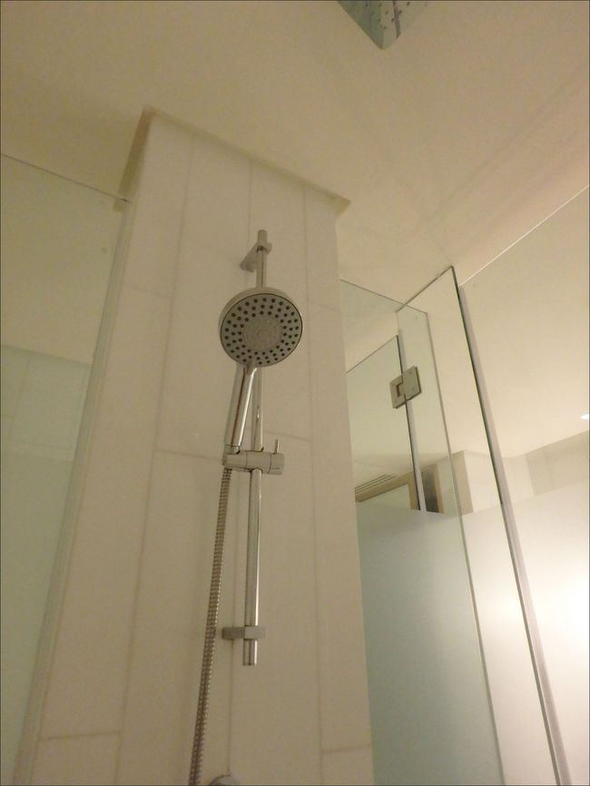 レインシャワー・ハンドシャワー両方です。<br /><br />新しいのでもちろん快適。なんの問題も不足もありません。(^_^)