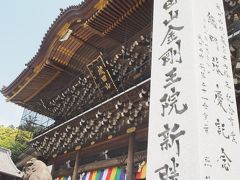 すごい久しぶりに来た成田山新勝寺。平将門調伏祈願を空海作の不動明王をこの地にもってきて不動護摩供を奉修した後、不動明王を動かそうとしても動かなかったという伝説の不動明王が安置されているが、暗くてよく見えず。。。