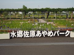 さて次は再び千葉に戻り、水郷佐原あやめパーク。こちらも昨日あやめ祭りが始まったばかり。あやめはまばらです。