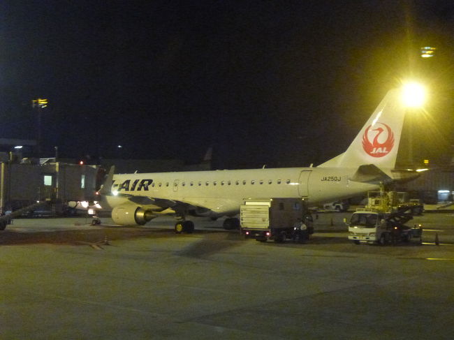 早朝から撮った沢山の写真を眺めていたら<br />伊丹空港に到着<br /><br />弾丸日帰りツアー<br />朝伊丹からスタートしたはずなのに<br />なんだか昨日のことのように感じられました