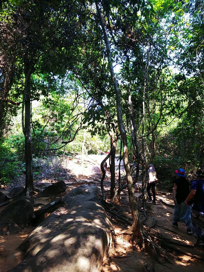 帽子にスニーカー、水分補給のドリンクも忘れずに！簡易山歩きの装備で向かいまーす！<br />午前中とはいえ、日が当たるところは灼熱です（笑）が、木陰は時折涼しい風も吹き、一息つけます(^o^)