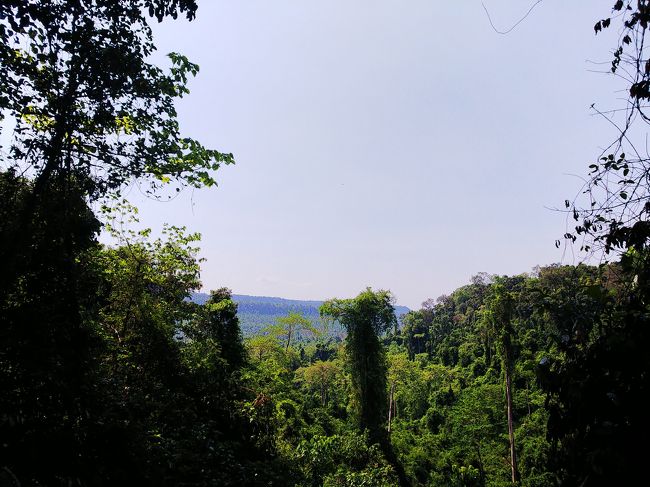 少し開けたところに出ました！＼(^o^)／<br />でも、遺跡はまだまだ先のようです(^o^;)←頑張れ自分！