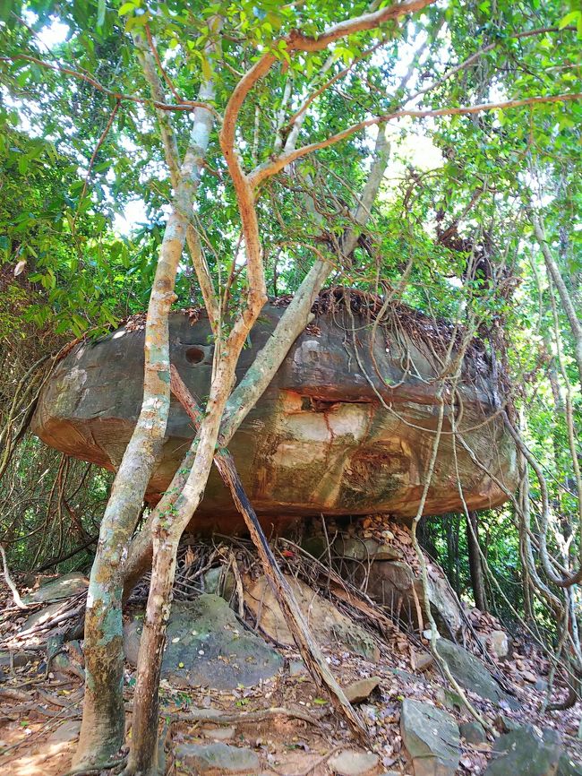 山中に、絶妙なバランスの岩がありました！<br />下から突き上げている岩は、年々隆起しているそうで、ガイドさんが子供の頃は、全く見えていなかったそうです。(´⊙ω⊙`)えー！