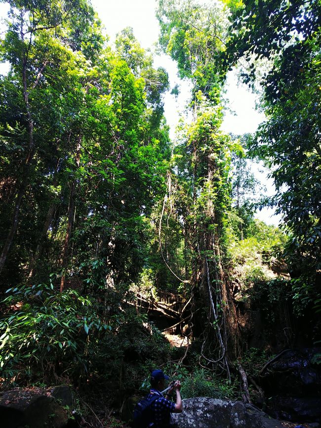 ここから、さらに山の中に分け入ります！<br />道も歩けるようにはなっていますが、決して歩きやすいように　整備されているわけではないので、普段あまり歩かない人にはキツイかも？