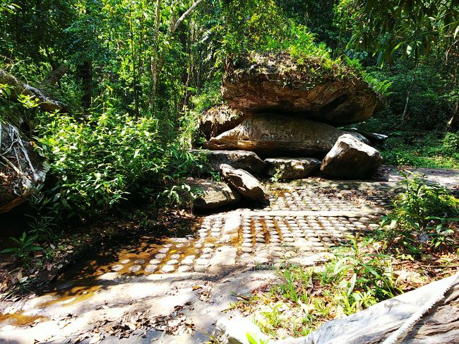 30～40分ほども歩いたでしょうか、「千本リンガ」と呼ばれる水の遺跡「クバールスピアン」の中心部に到着！＼(^o^)／