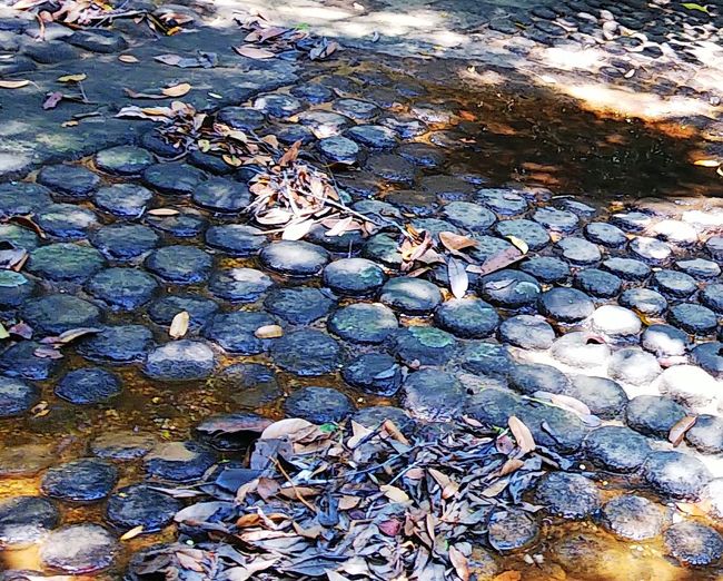 この丸いビンの蓋のようなものが「リンガ」（男性器の象徴）川の中に無数のリンガが作られているこの場所は、「千本リンガ」と呼ばれ　信仰の対象になっています。