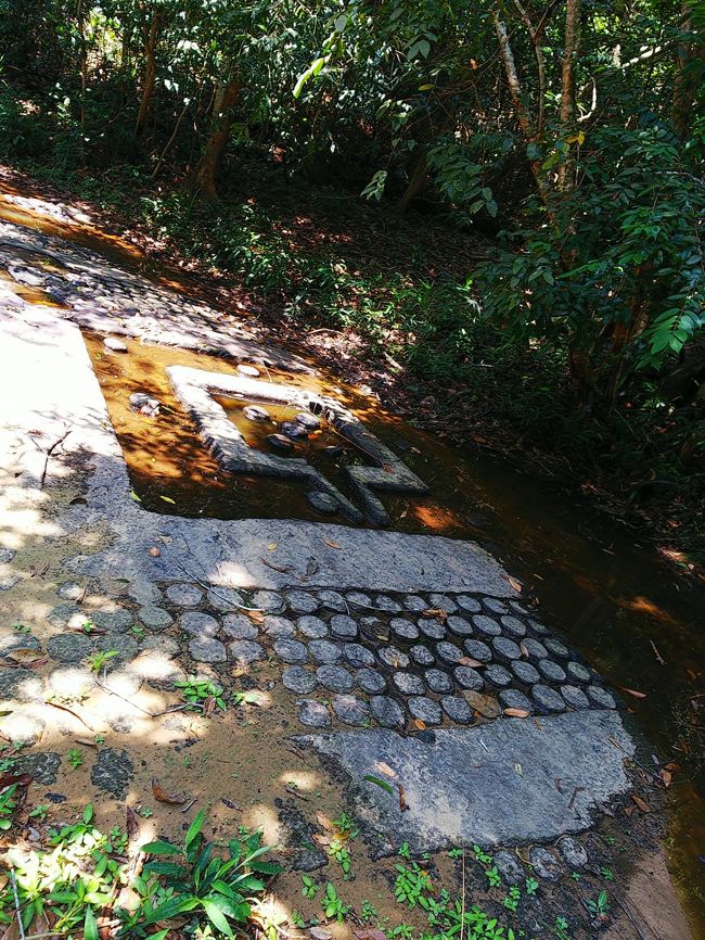 リンガの奥に写っている四角い枠は、「ヨニ」と呼ばれる女性器の象徴。<br />ヨニとリンガの組み合わせは、繁栄や豊かさ・平和と不死などを意味していて、アンコール遺跡には、このセットが必ずと言っていいほどあります。