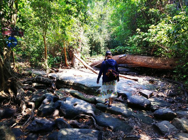 40分ほどかけて登った山を、これから降りまーす！