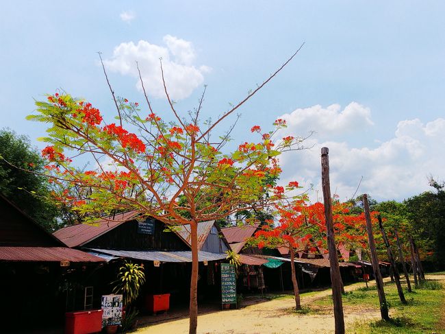 下りはあっという間、半分ほどの時間で降りちゃいました。<br />これから、「東洋のモナリザ」と呼ばれる美人デバターがいるバンテアイ スレイに向かいます♪(^o^)