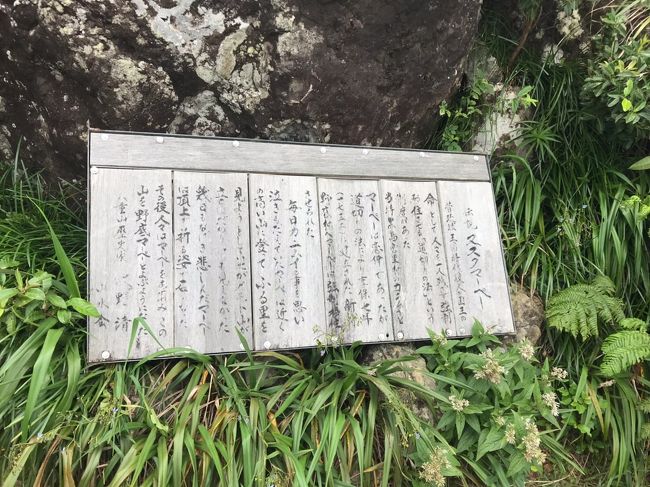 徒歩十五分ってうそでしょー！<br />どろのせいです。