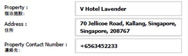乗継は翌日にしたので今日はV Hotel Lavenderに1泊します。<br />この後仕事でシンガポールに住んでいる従妹のマンションを訪れ夕食を食べました。ここで20時からマリーナベイサンズで光のショーがあると教えてもらい、時間に合わせて見に行きました。