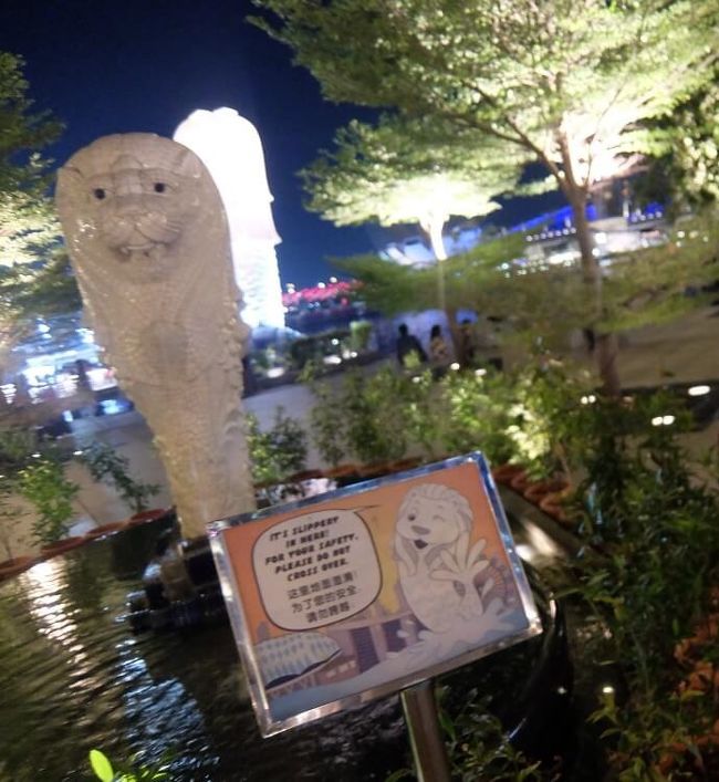 位置関係はこんな感じです！すぐ裏にいるので行かれる際はこっちも見ましょう笑