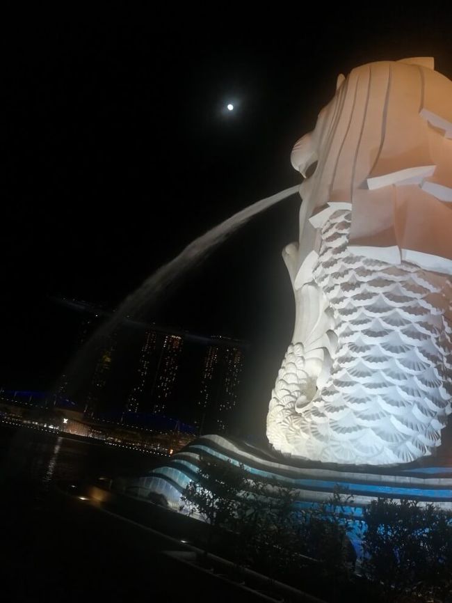 この後MRTでホテルに戻りました。<br />ラベンダー駅の上のホテルなので、移動にはなかなか便利です。<br /><br />旅行記全文<br />http://familyholiday.work/2018/08/12/%E3%82%A4%E3%83%B3%E3%83%89%E3%83%8D%E3%82%B7%E3%82%A2%E3%81%AE%E6%97%851%E6%97%A5%E7%9B%AE%e3%80%80%E4%B9%97%E3%82%8A%E7%B6%99%E3%81%8E%E3%81%AE%E3%82%B7%E3%83%B3%E3%82%AC%E3%83%9D%E3%83%BC%E3%83%AB/