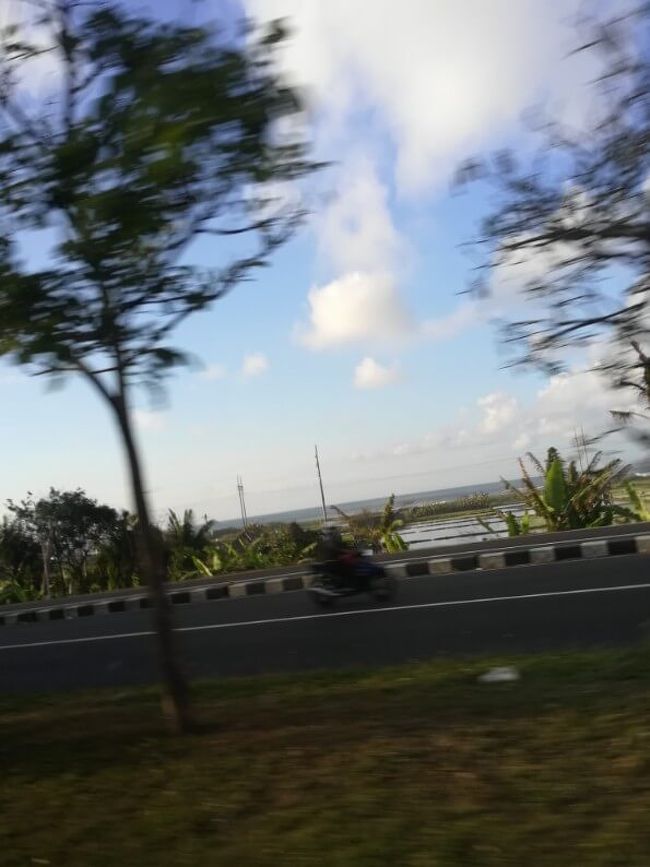 海沿いを走ります。海はあまり綺麗ではないです。